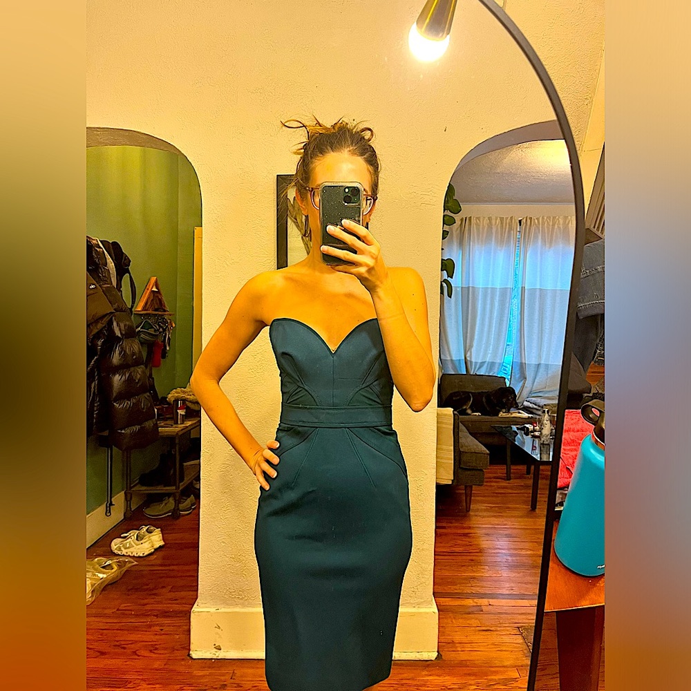 Zac Posen strapless dress